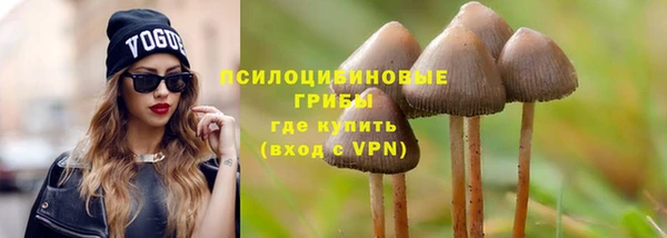 ешки Абинск